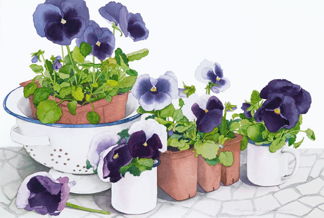 Cups & Colanders Overflowering with Pansies