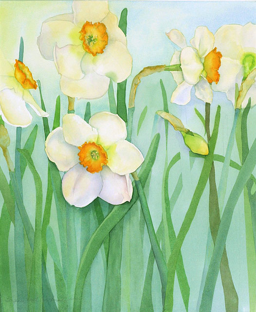 Dancing Daffodils