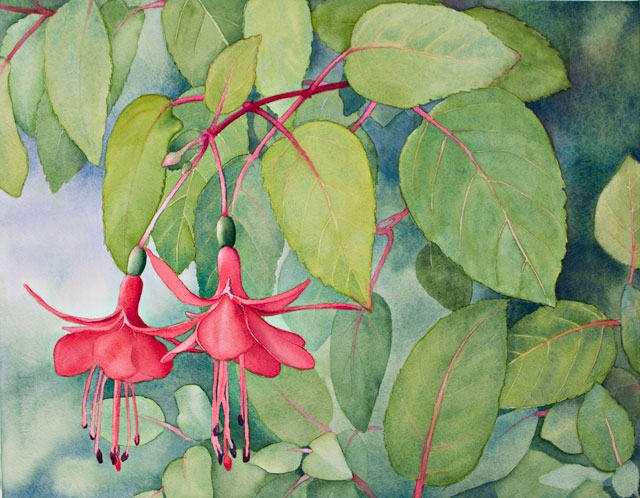 Fuchsia
