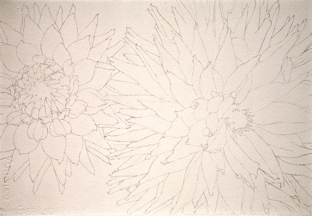 The Drawing...