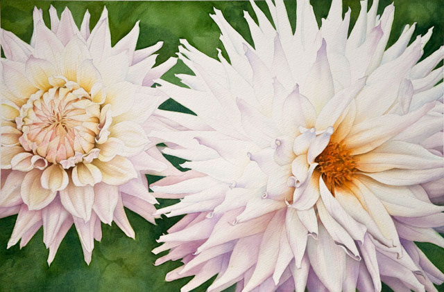 White Dahlias