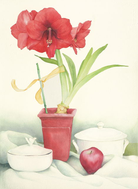 Shades of Red: Amaryllis, Flower Pot & Apples