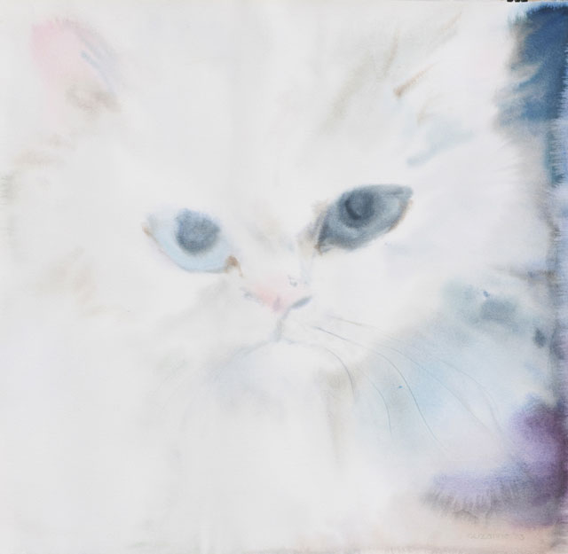 Fluffy White Cat