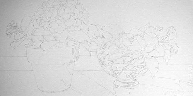 Drawing - White Hydrangea & Camillias