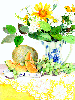 Cantaloupe & Grapes II 
