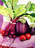 Farmers Market - Beets & Eggplants