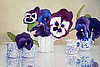 Pansies in Little Blue Vases