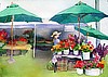 Farmers Market - Flower Stand