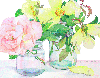 Pink & Yellow Roses