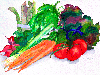 Vegetable Medley